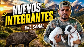 DoGo Argentino perros de caza mallor nos yego un Regalo de un suscriptor viejones 🫡😁😁👌🐕
