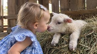 When Babies and Farm Animals Instantly Become Best Friends❤️ Funny & Heartwarming Compilation Update