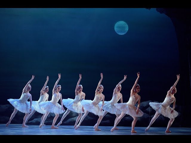My First Ballet: Swan Lake – Rothbart and swans excerpt | English National Ballet