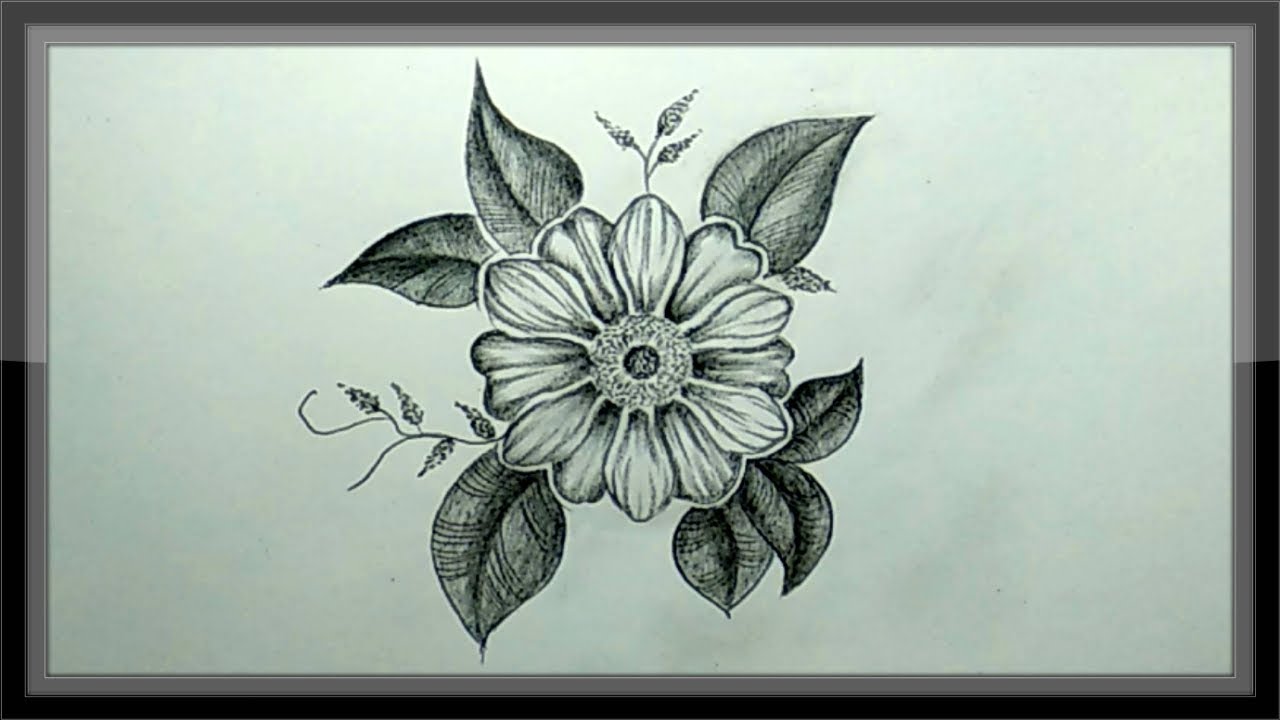 most beautiful flower drawings