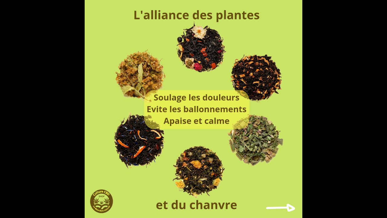une infusion bio mélange de plantes médicinales au service de votre bien-être