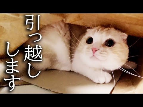 訳あって新居に引っ越しすることになりました...