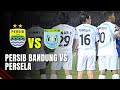 Persib bandung vs persela maung bandung benamkan laskar joko tingkir  isl 20082009