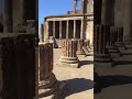 Pepe In Pompeii