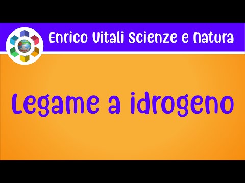 Video: Cosa può legare l'idrogeno?