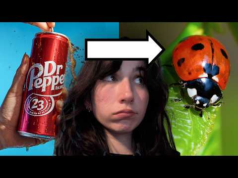 Why does Dr. Pepper smell like Ladybugs?