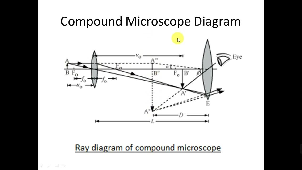 Compound Microscope and Explain its Diagram Hindi CLASS 12 PHYSICS