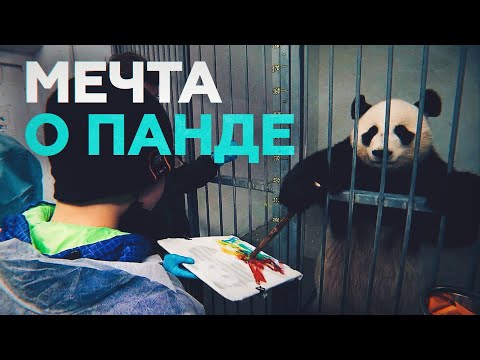 Путин помог тяжелобольному мальчику встретиться с пандой — видео