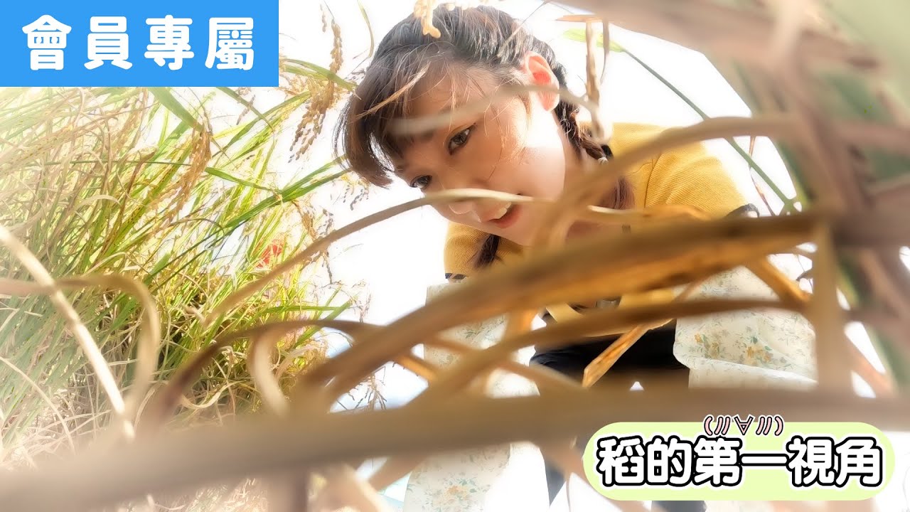 [Behind]秧苗們努力長大只為了這一刻