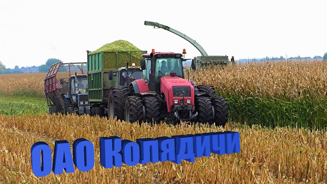 Уборка кукурузы на силос CLAAS Jaguar 890, МТЗ 1221 2, МТЗ 3522 +Дисковка МТЗ 2022-3, TINEMASTER
