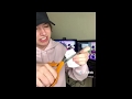 Videos I Stole From Instagram And Twitter / Try Not To Laugh V41