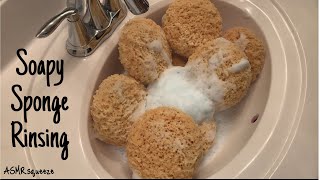 Soapy Sponge Rinsing/ASMRsqueeze