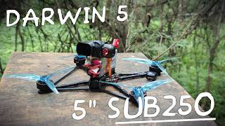 2026 HIT! 5" Sub250 FPV 2S - Darwin 5" review (ref. Darwin FPV Tiny Ape Freestyle)