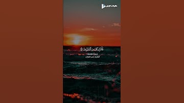 #quran #اكسبلور #المصحف #القرآن_الكريم #حالات_واتس #راحة_نفسية #سورة_الواقعة #ترند #تيك_توك