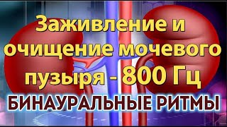 Очищение мочевого пузыря - 800 Гц - Очищение от камней, желчного пузыря, почек | Исцеляющие вибрации