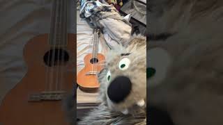 #furry #furrymusic