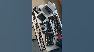 Moog Subsequent 37 and Push 3 combo | Riser and Drop #moog #ableton