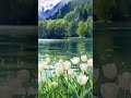 Nature's Serenity | Relaxing  Music &amp; 432Hz for Inner Peace, Study and Focus