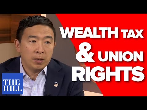 Andrew yang wealth tax