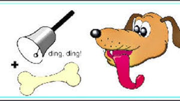 Psych 200 Classical Conditioning