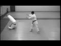 Randori no kata (around 1989)