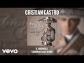 Cristian Castro - La Enorme Distancia (Live / Audio)