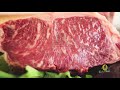 CABAÑA H - CRIA DE WAGYU EN PARAGUAY