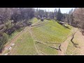 Daffodil Hill 2014 from the angry hornet POV, Amador County, Calif.