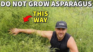 Please, DO NOT Plant Asparagus This Way!