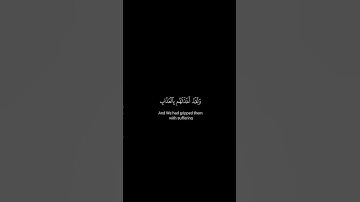 كروما شاشة سوداء قرآن كريم 🍀ياسر الدوسري 🍀 سورة المؤمنون  #تلاوة_هادئة #اكسبلور #yasseraldossary