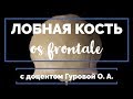 Лобная кость (os frontale)💀 | Анатомия человека [2019][4K]✅