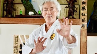 全ての技が危険！まるで全身が武器の空手十段に会ってきた Dangerous skills of Okinawa Karate Master