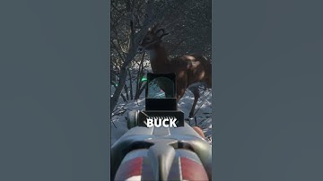 I got RUN OVER by a DEER 🦌 | theHunter: Call of the Wild