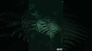 Deep Techno By Rickz