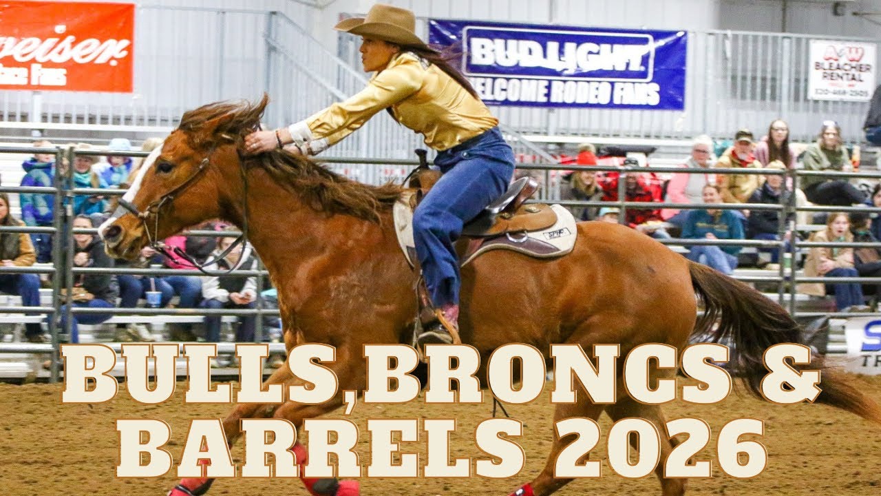 Быки, дикие лошади и бочки 2026