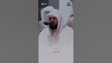 ﴿فَقالَ رَبِّ إِنّي لِما أَنزَلتَ إِلَيَّ مِن خَيرٍ فَقيرٌ﴾ تلاوة من سورة القصص للشيخ ماهر المعيقلي
