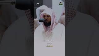 ﴿فَقالَ رَبِّ إِنّي لِما أَنزَلتَ إِلَيَّ مِن خَيرٍ فَقيرٌ﴾ تلاوة من سورة القصص للشيخ ماهر المعيقلي