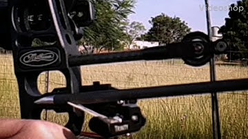 This is why I shoot a Hamskea arrowrest