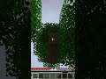 MINECRAFT MA...