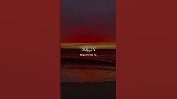 تلاوة خاشعة من سورة الحج بصوت القارئ ماهر المعيقلي #القرآن #سورة_الحج #ماهر_المعيقلي #تلاوة_خاشعة