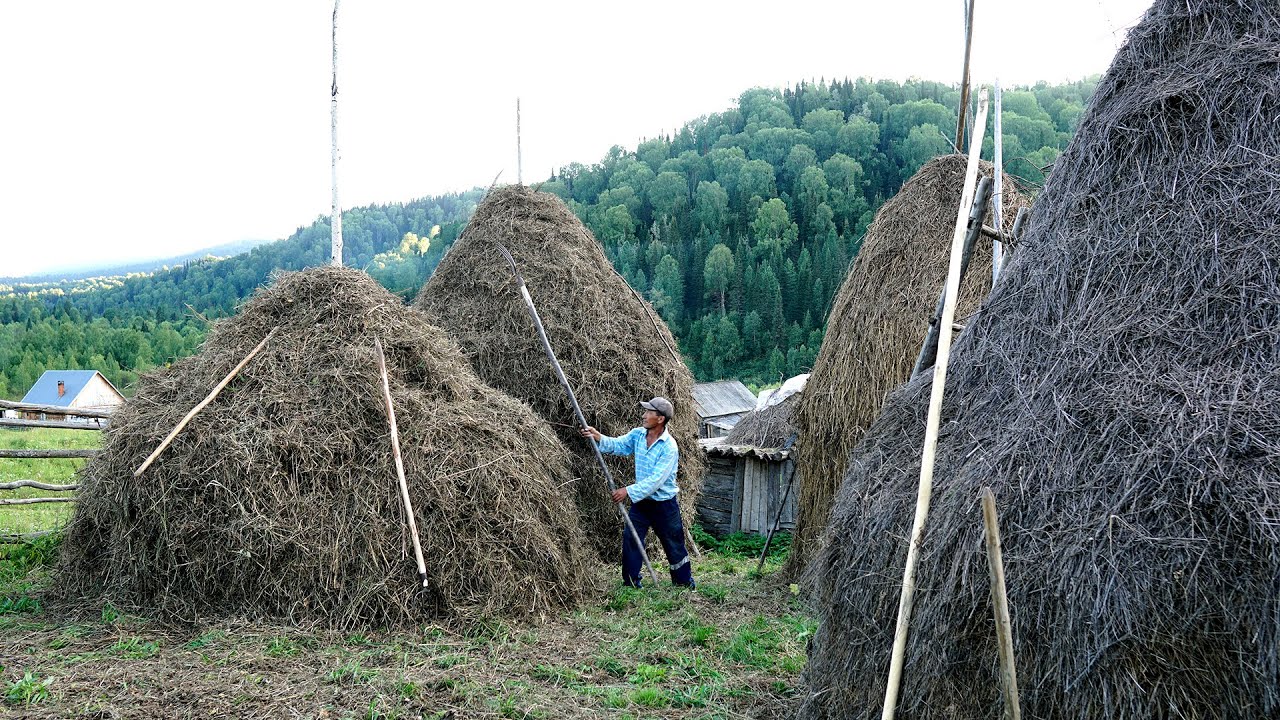 Жизнь в Шории. День в глухой деревне в диком лесу - Тайге. Вдали от цивилизации в Шории
