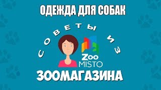 Одежда для собак | Нужна ли собакам одежда? | Одежда собачьего гардероба | Советы из зоомагазина Одежда для собак | Нужна ли собакам одежда? | Одежда собачьего гардероба | Советы из зоомагазина
