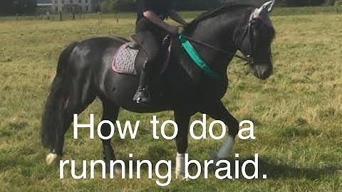 How to do a running braid / crest plait on your horses mane | Karen badrick | horse tips