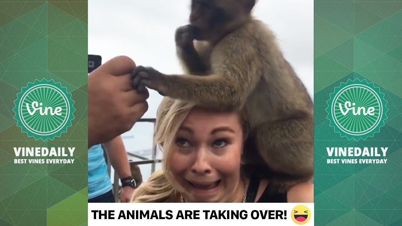 BEST INSTAGRAM Compilation of December 2018 Part 1 | Funniest Videos of 2018 (w/ Titles)