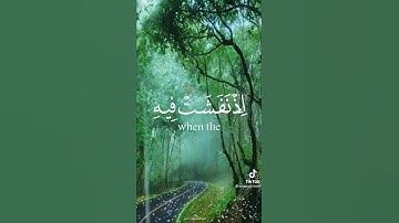 (وداوود وسليمان اذ يحكمان في الحرث )قران كريم من سورة الانبياء
