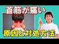 首の筋が痛い!原因と対処方法についてお教えします!