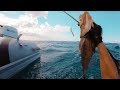 BOAT LIFE: Hunting For Lunch