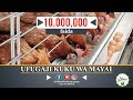 VIDEO: UFUGAJI WA KUKU WA MAYAI