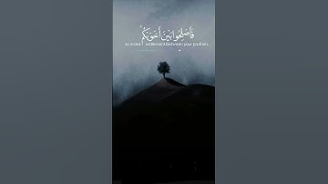 إِنَّمَا الْمُؤْمِنُونَ إِخْوَةٌ | سورة الحجرات | ابو بكر الشاطري | تلاوة خاشعة وجميلة مرحبا وهادئ
