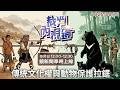 台灣動保法修法